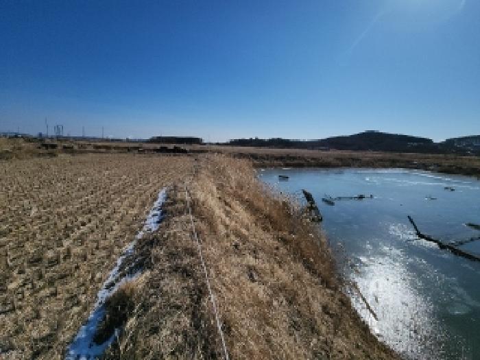 본건 부동산 전경