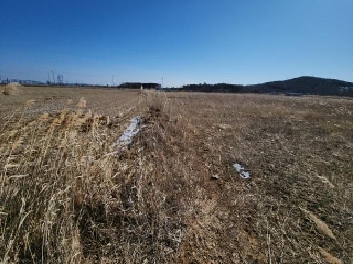 본건 부동산 전경2