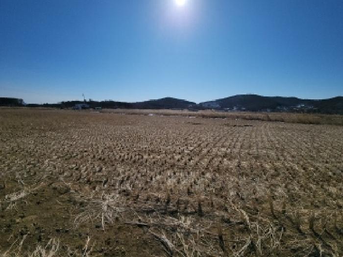 본건 부동산 원경