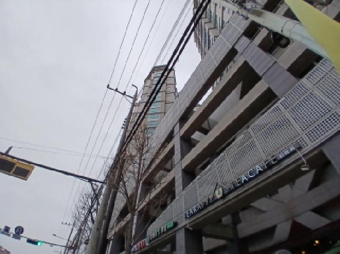 건물 외부 전경