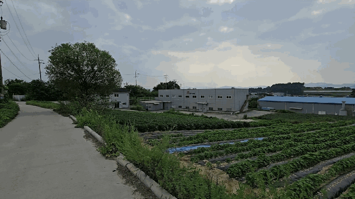 본건 전체의 원