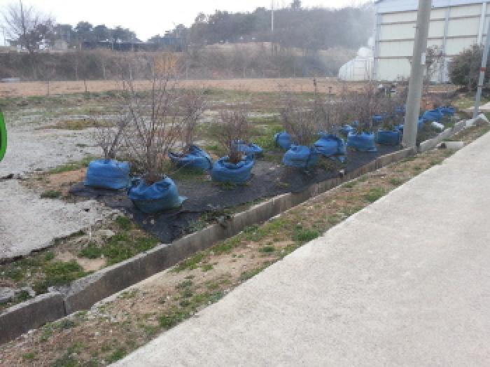부동산표시 제4