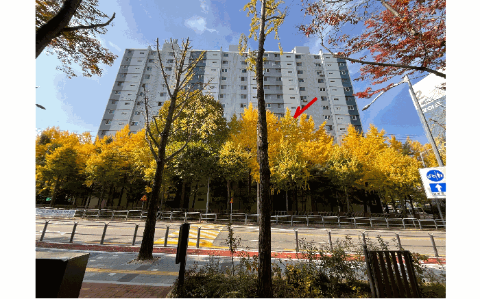 본건 동측에서 