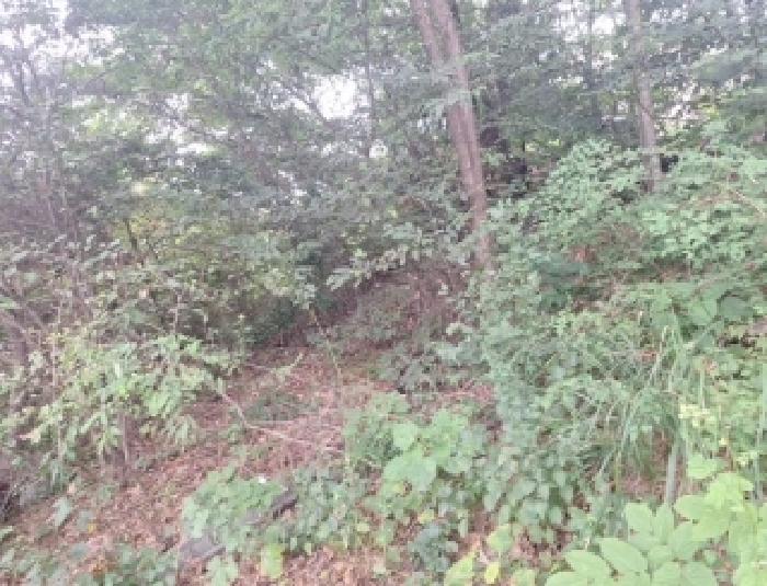1번 토지 일부(산림)