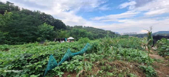 본건 전경