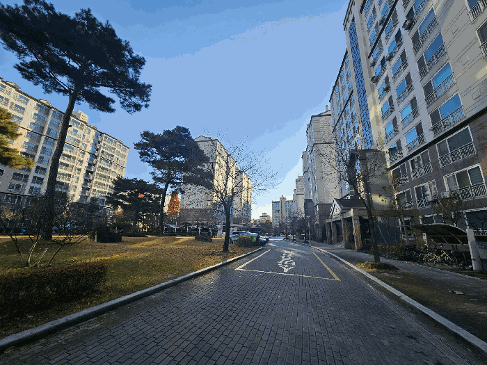 단지내부