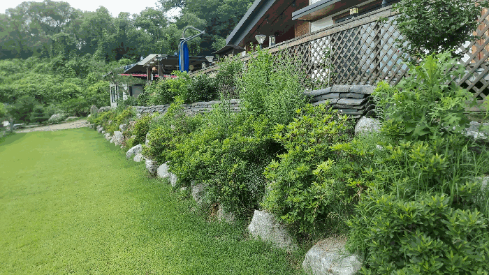 [잔디 및 조경석 등 전경]