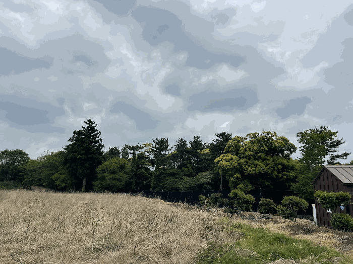 기호(1) 전경