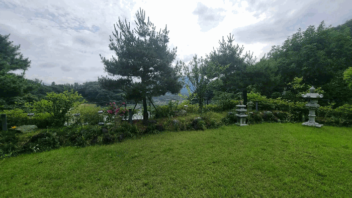 지상수목