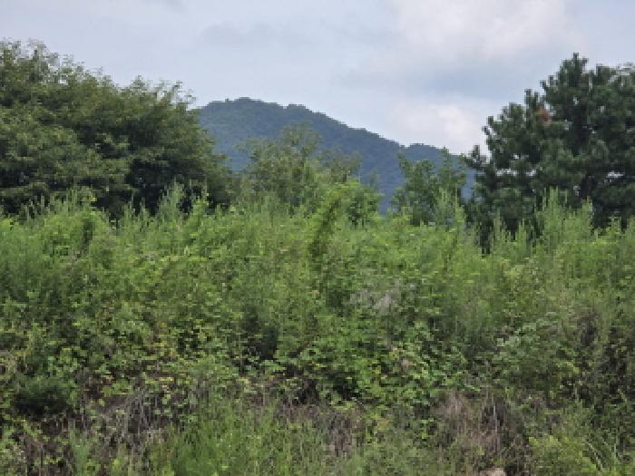 강학리 658-1