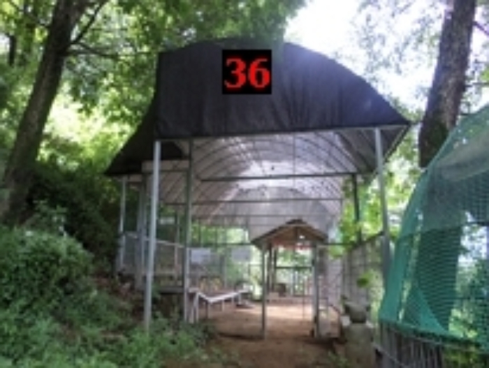 목록44 토지의