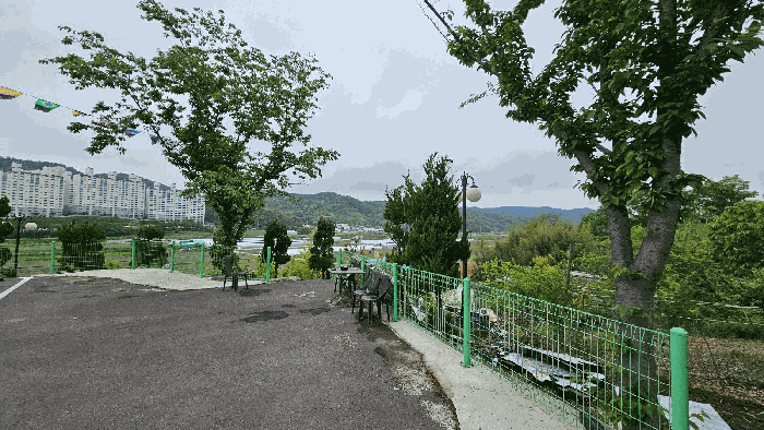 지상 조경수 사진
