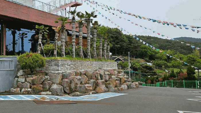 지상 조경수 사진