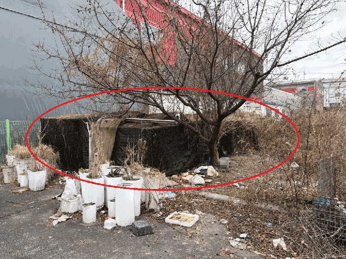 대상물건 일부 지상 소재 철골 구조물(감정평가 제외)