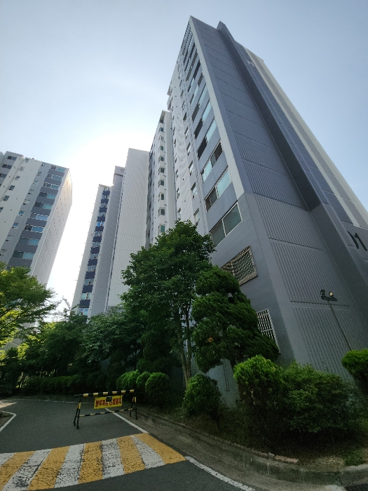 본건동 전경