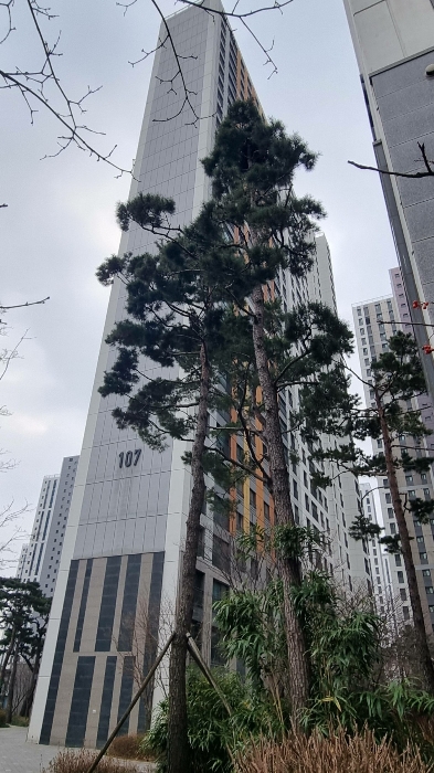 전경(서측에서)