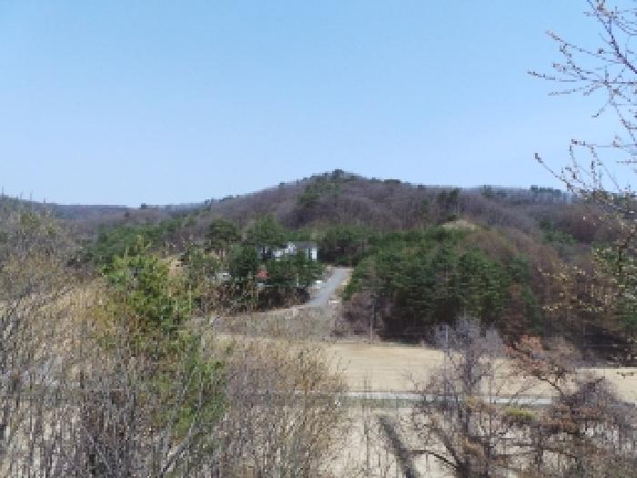 본건 전체(기호