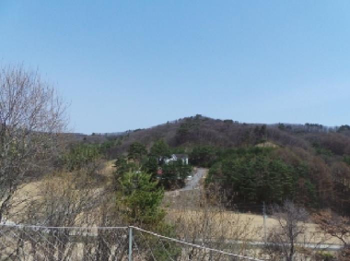 본건 전체(기호