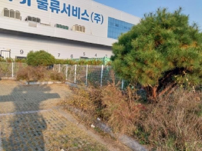 목록2번 지상 제시외 수목