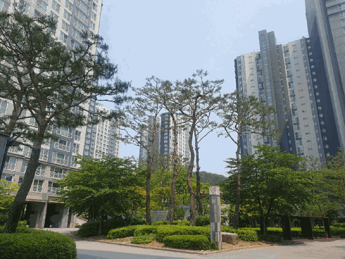 단지 전경