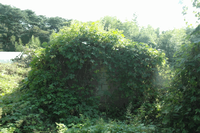 제시외 건물(칡