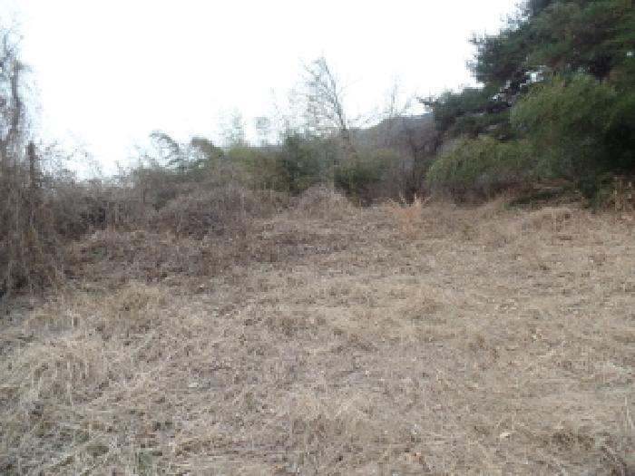 기호 3. 동측