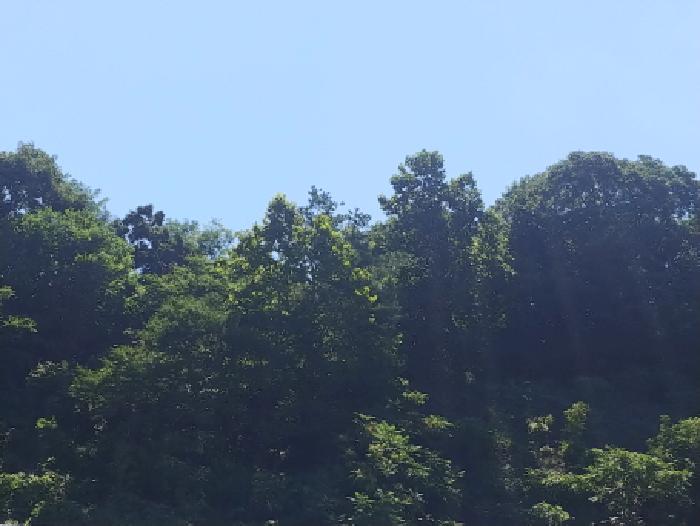 목록4번 전경