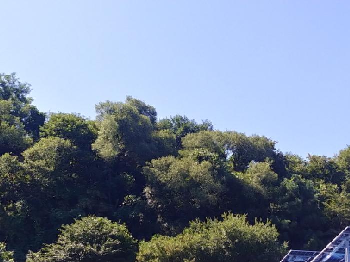목록4번 전경