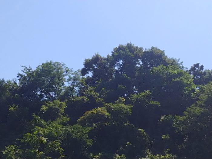 목록4번 전경