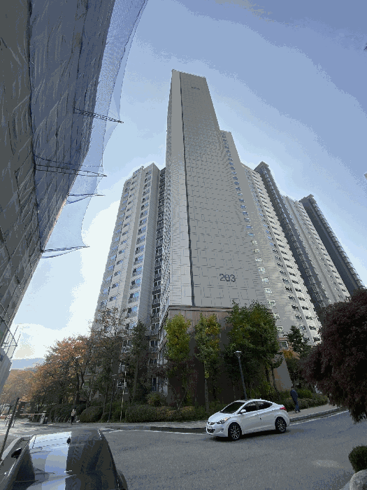 203동