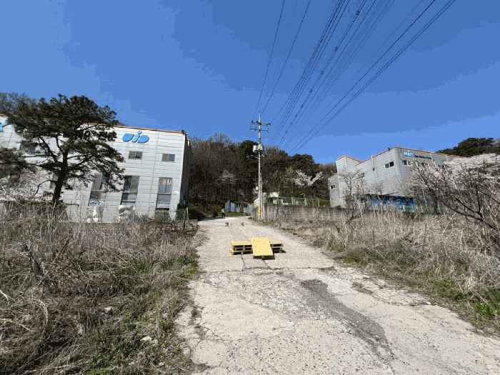 본건 전경