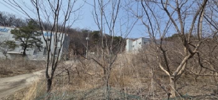 본 건 전경