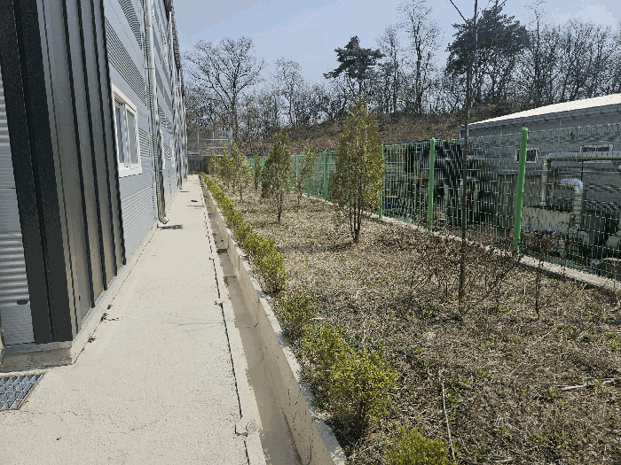 본건 기호1 토지상의 수목 현황