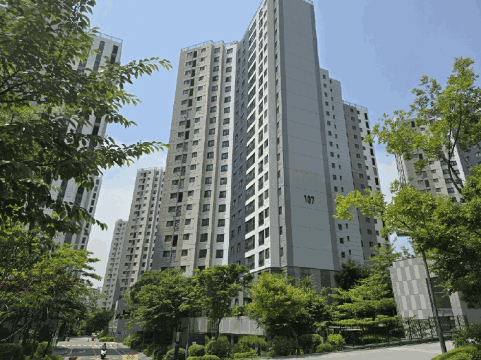 본건동 전경