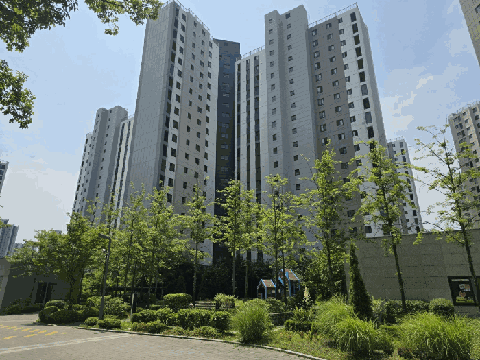 본건동 전경