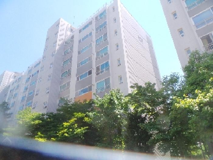 사진1번 [제시