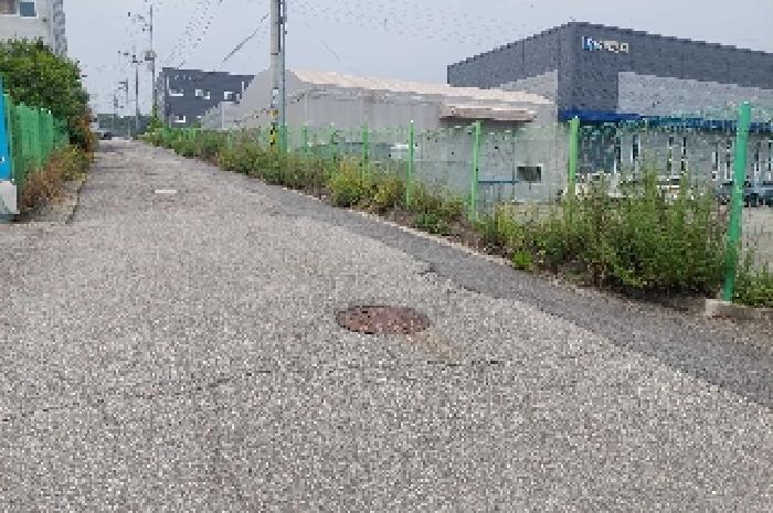 상동