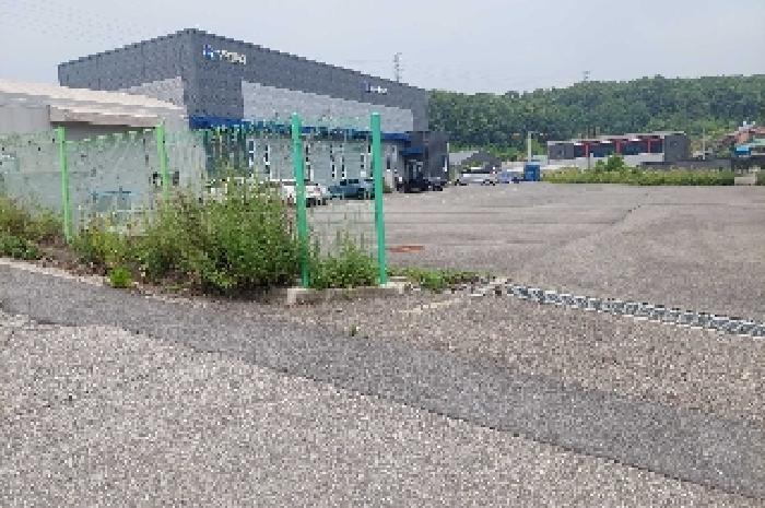 상동