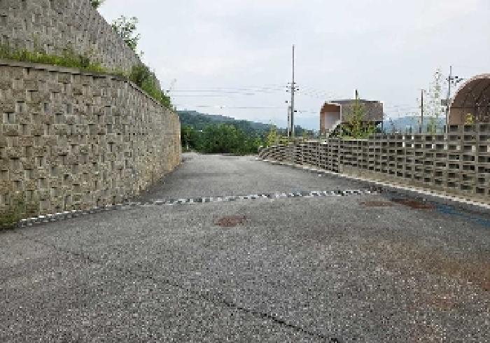 상동