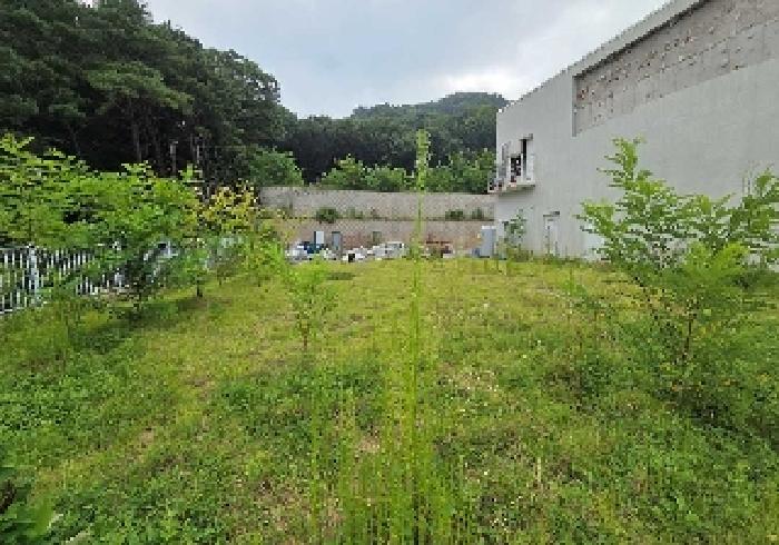 상동