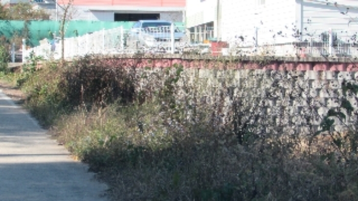 본건 전경