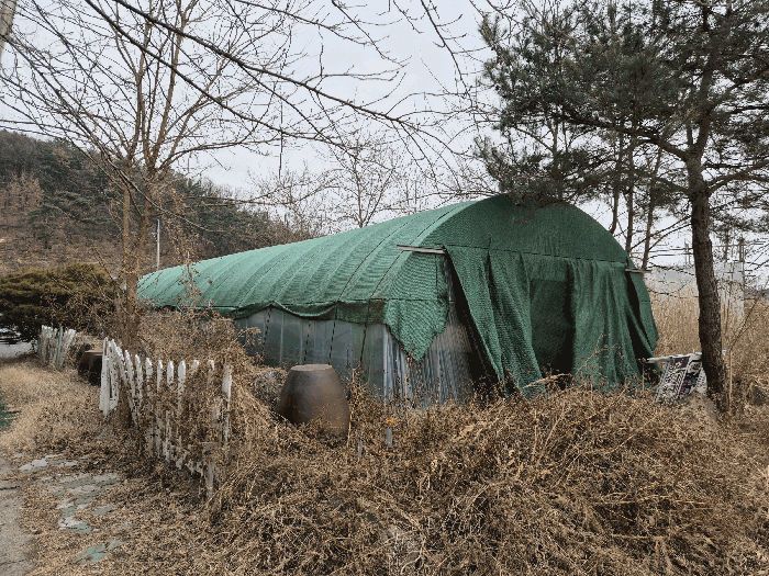 비닐하우스