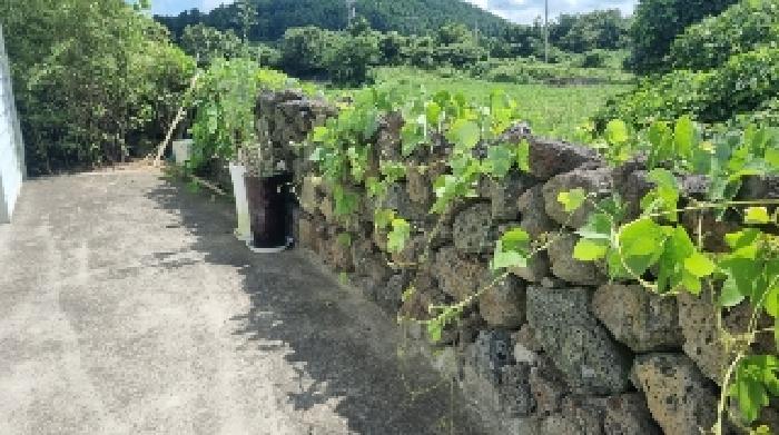 소재지1(덕천리 853) 전경5