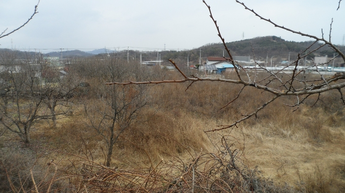 본건 기호1-8) 전경
