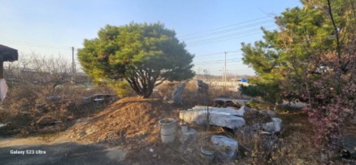 조경석 및 조경수