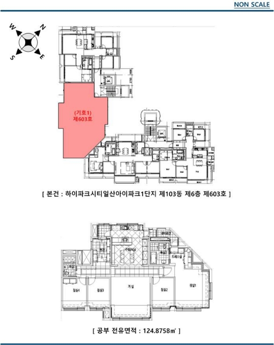 건 물 개 황 도