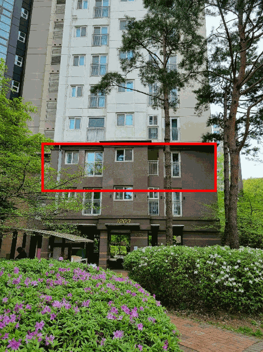 북동측에서 촬영