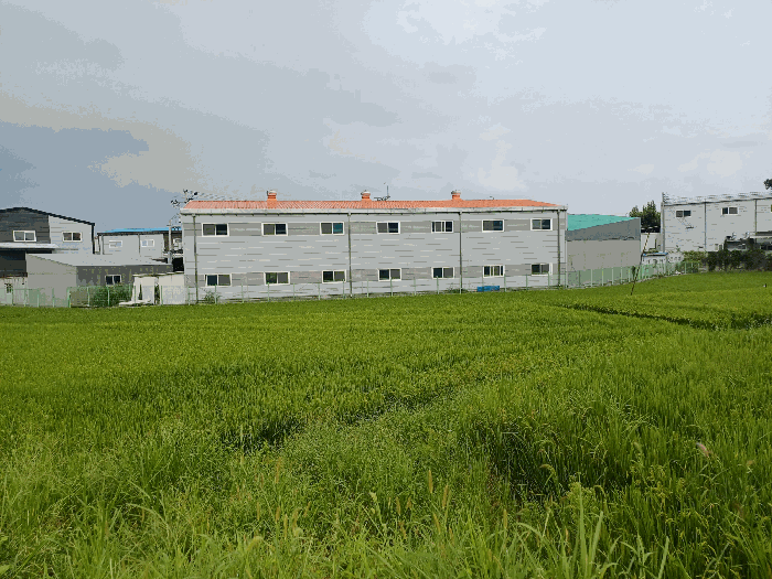 본건 전경(기호7)