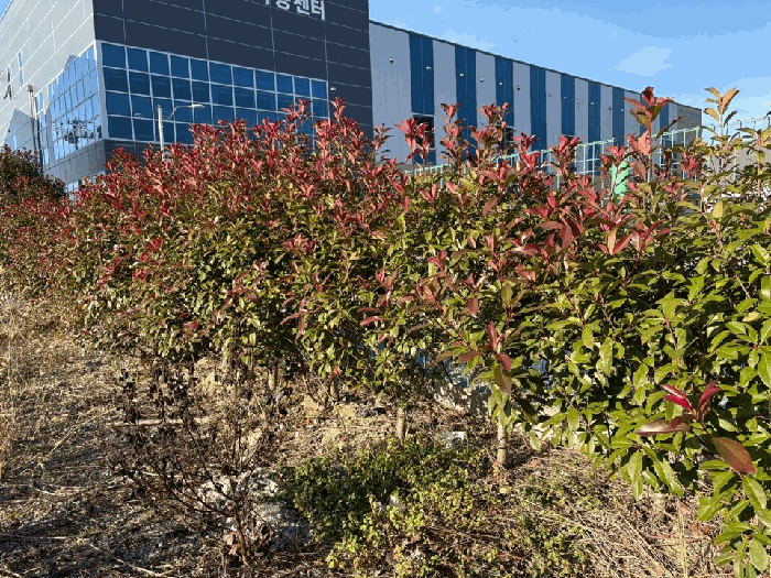 기호 1) 지상의수목