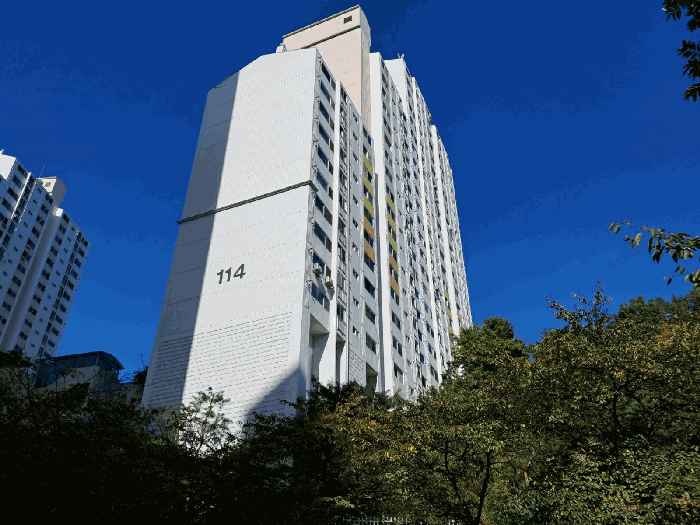 남동측에서 촬영한 벽산라이브파크아파트 114동 전체부분